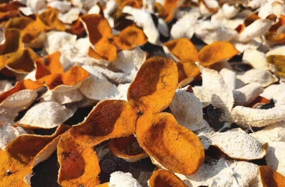 新会陈皮的金字招牌，岂容“李鬼”破坏｜街谈巷议-上淘有品虚拟资源下载